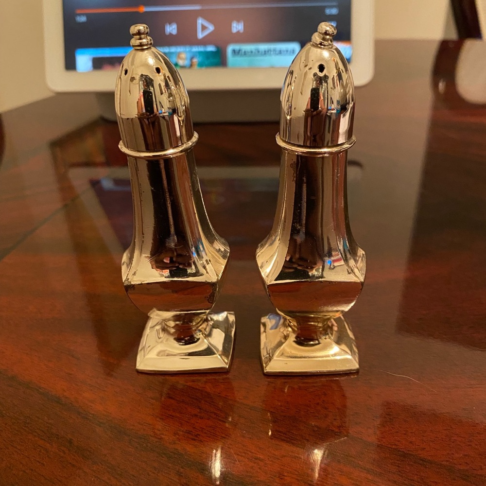 Elegant Silver Salt and Pepper Shakers